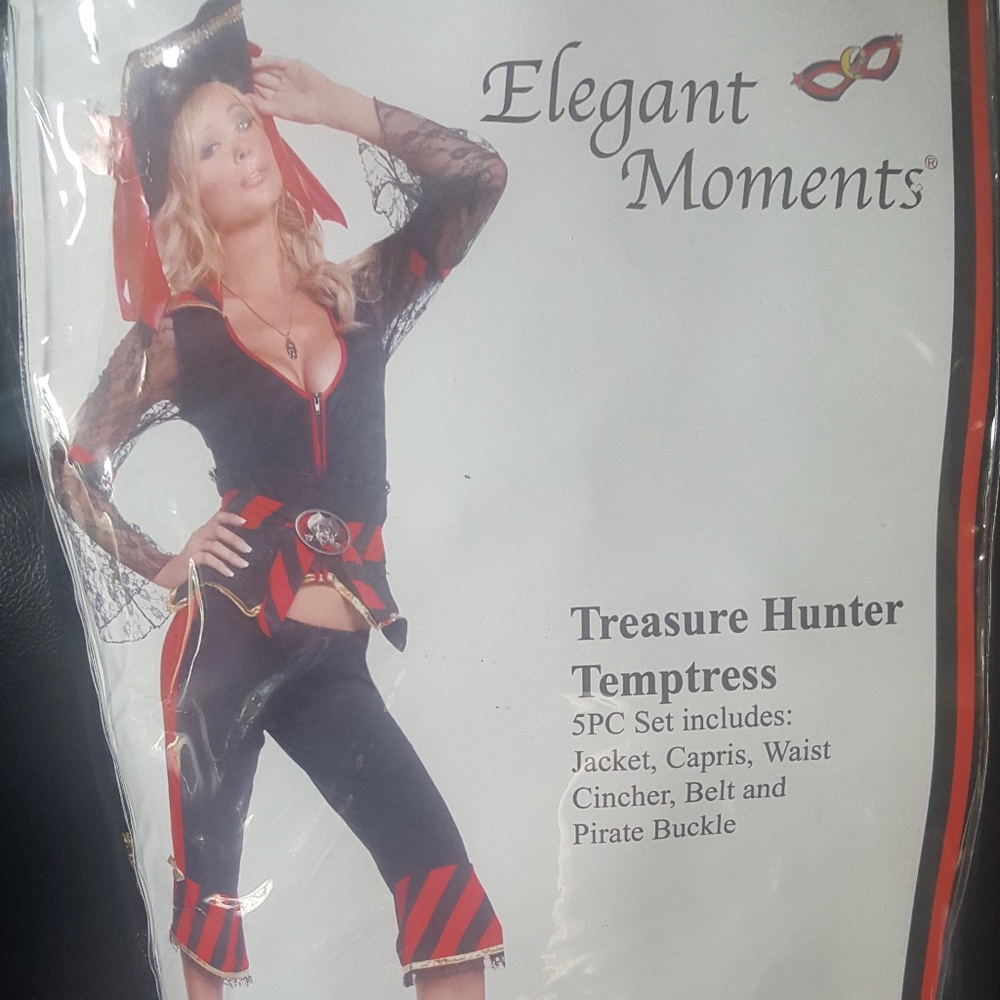 Treasure Hunter Temptress Costume